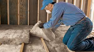 Eco-Friendly or Green Insulation Solutions in Fairfax, VA