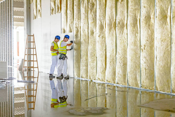 Best Pipe and Duct Insulation  in Fairfax, VA